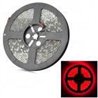 5050 Waterproof 72W 3000lm 300-5050 SMD LED Red Light Strip (5m / DC 12V)