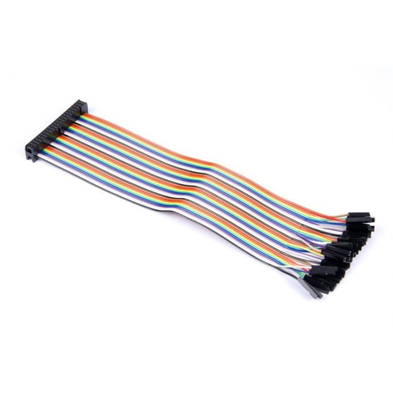 40p Rainbow IDC connector to Female Jumperwires 20cm