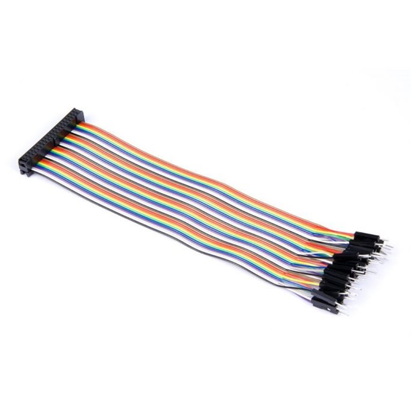 40p Rainbow IDC connector to Male Jumperwires 20cm