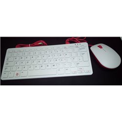 Raspberry Pi Keyboard & Mouse (Combo)