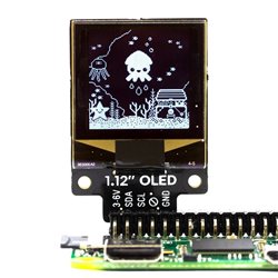 1.12" Mono OLED (128x128, white/black) Breakout  for Raspberry